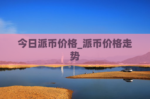 今日派币价格_派币价格走势