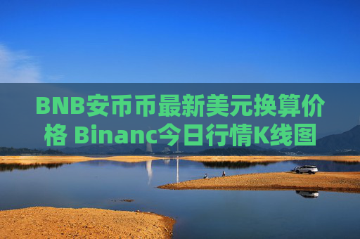 BNB安币币最新美元换算价格 Binanc今日行情K线图