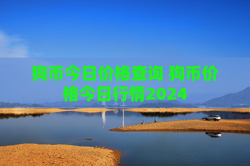狗币今日价格查询 狗币价格今日行情2024