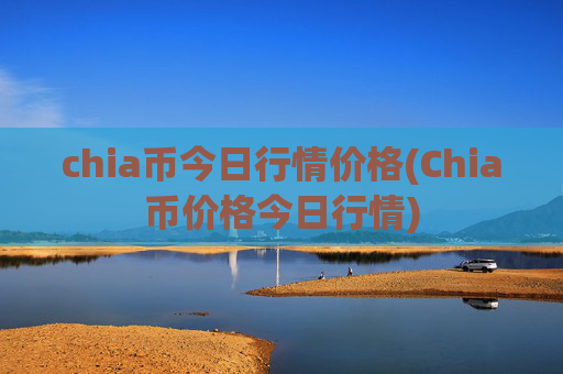 chia币今日行情价格(Chia币价格今日行情)