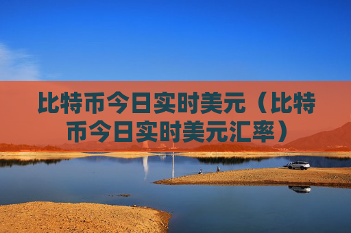比特币今日实时美元(比特币今日实时美元汇率)