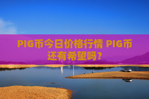 PIG币今日价格行情 PIG币还有希望吗？