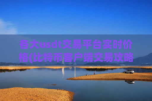 各大usdt交易平台实时价格(比特币客户端交易攻略)