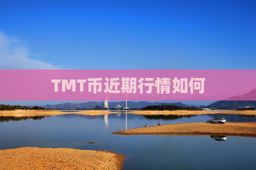 TMT币近期行情如何