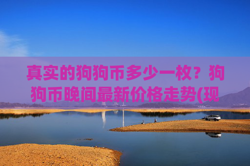 真实的狗狗币多少一枚?狗狗币晚间最新价格走势(现价2.4451元)