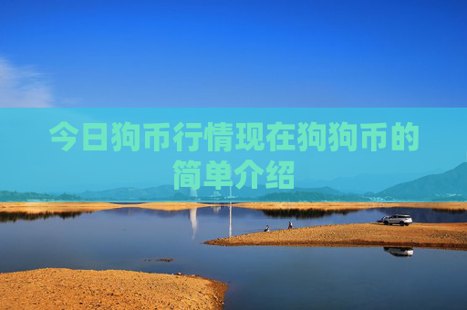 今日狗币行情现在狗狗币的简单介绍