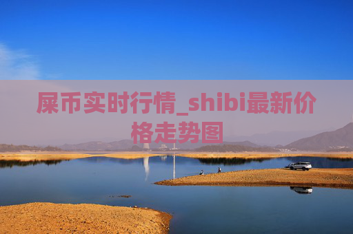屎币实时行情_shibi最新价格走势图