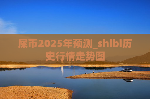 屎币2025年预测_shibi历史行情走势图