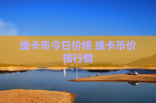 维卡币今日价格 维卡币价格行情