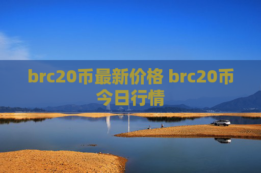 brc20币最新价格 brc20币今日行情