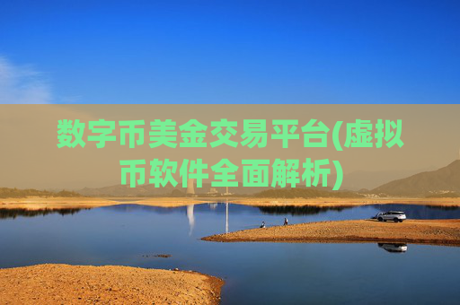 数字币美金交易平台(虚拟币软件全面解析)