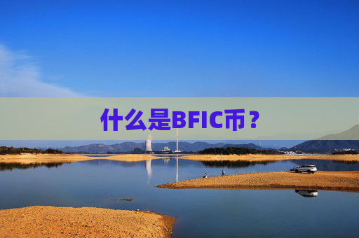 什么是BFIC币？