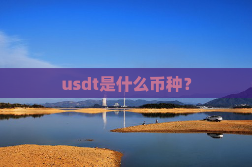 usdt是什么币种？
