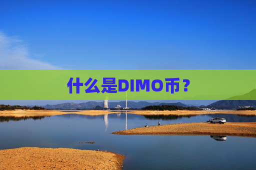 什么是DIMO币？