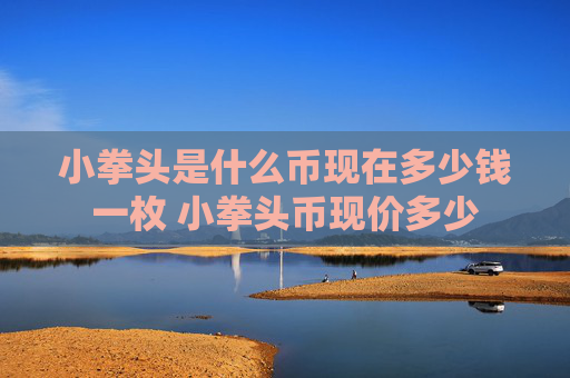 小拳头是什么币现在多少钱一枚 小拳头币现价多少