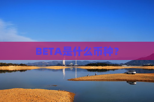 BETA是什么币种?