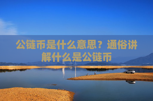 公链币是什么意思?通俗讲解什么是公链币