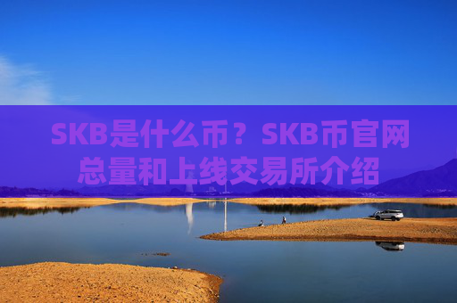 SKB是什么币?SKB币官网总量和上线交易所介绍