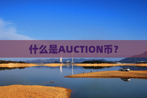 什么是AUCTION币?