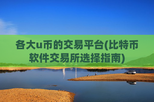各大u币的交易平台(比特币软件交易所选择指南)