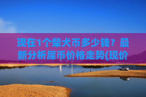 现在1个柴犬币多少钱？最新分析屎币价格走势(现价0.00016376元)