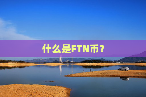 什么是FTN币？