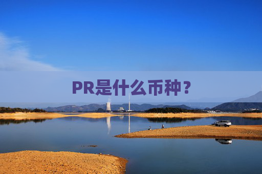 PR是什么币种？