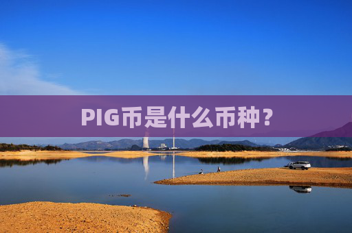PIG币是什么币种？
