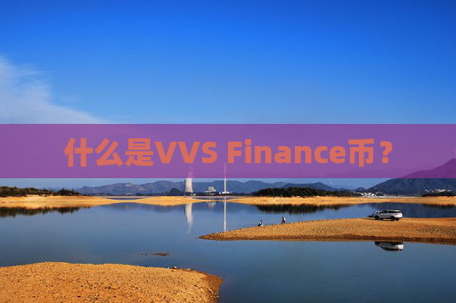 什么是VVS Finance币?