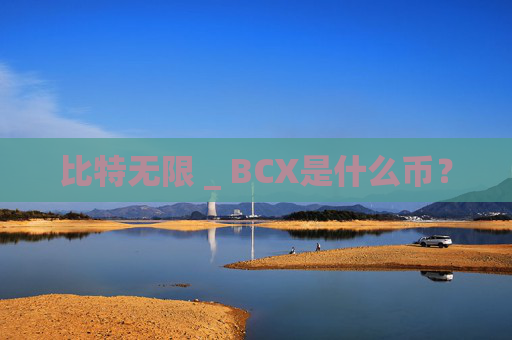 比特无限 _ BCX是什么币？