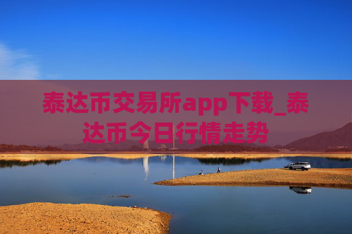 泰达币交易所app下载_泰达币今日行情走势