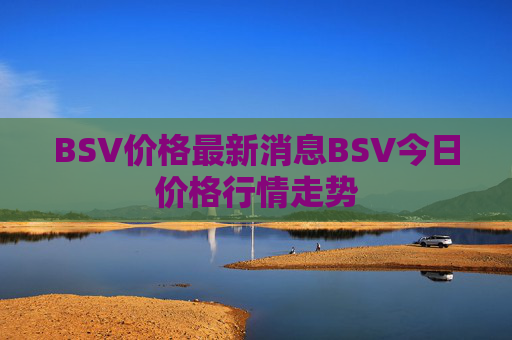 BSV价格最新消息BSV今日价格行情走势