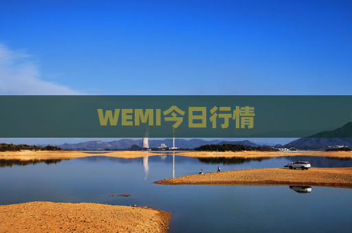 WEMI今日行情