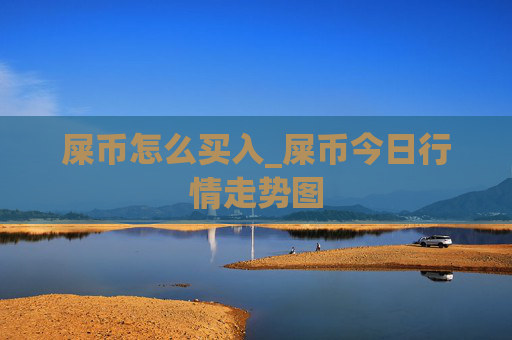 屎币怎么买入_屎币今日行情走势图