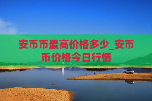安币币最高价格多少_安币币价格今日行情