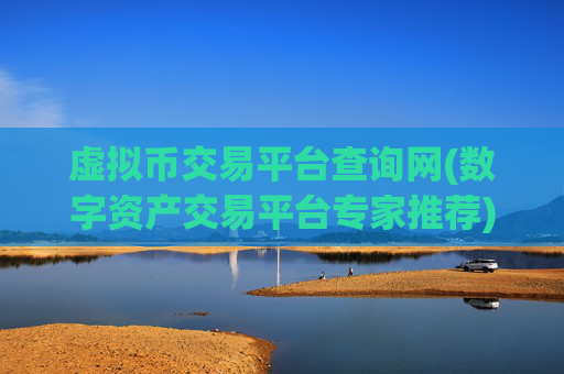 虚拟币交易平台查询网(数字资产交易平台专家推荐)