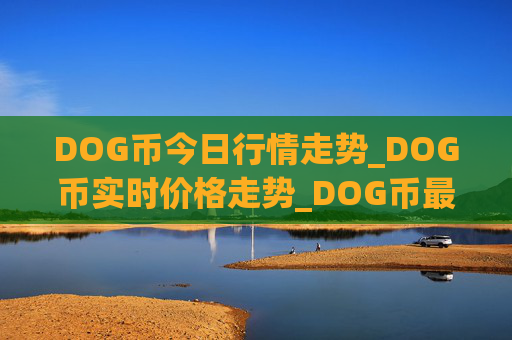 DOG币今日行情走势_DOG币实时价格走势_DOG币最新价格
