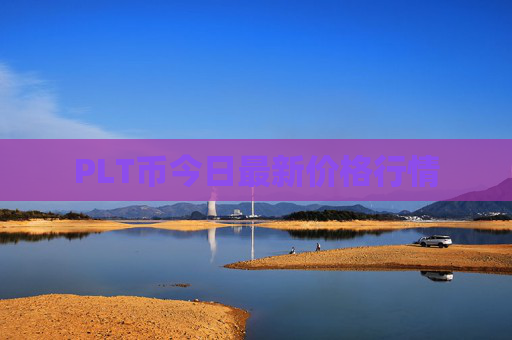 PLT币今日最新价格行情