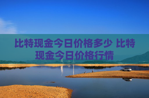 比特现金今日价格多少 比特现金今日价格行情
