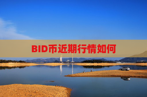 BID币近期行情如何