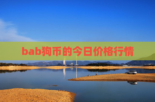 bab狗币的今日价格行情