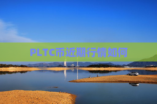 PLTC币近期行情如何