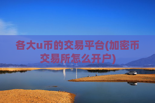 各大u币的交易平台(加密币交易所怎么开户)