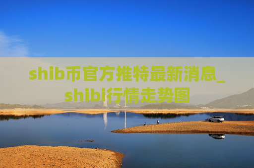 shib币官方推特最新消息_shibi行情走势图