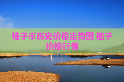 柚子币历史价格走势图 柚子价格行情