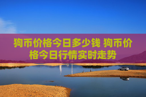 狗币价格今日多少钱 狗币价格今日行情实时走势