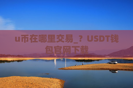 u币在哪里交易_?USDT钱包官网下载
