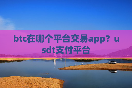 btc在哪个平台交易app？usdt支付平台