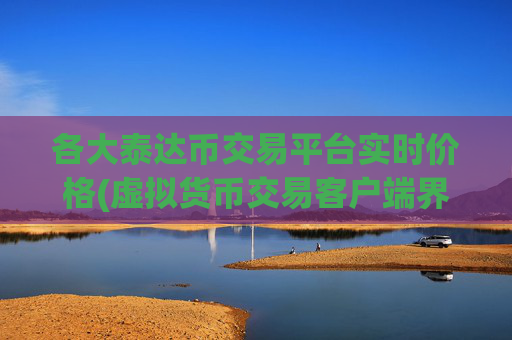 各大泰达币交易平台实时价格(虚拟货币交易客户端界面简洁)