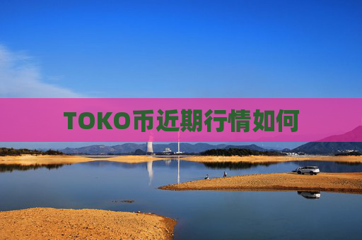 TOKO币近期行情如何